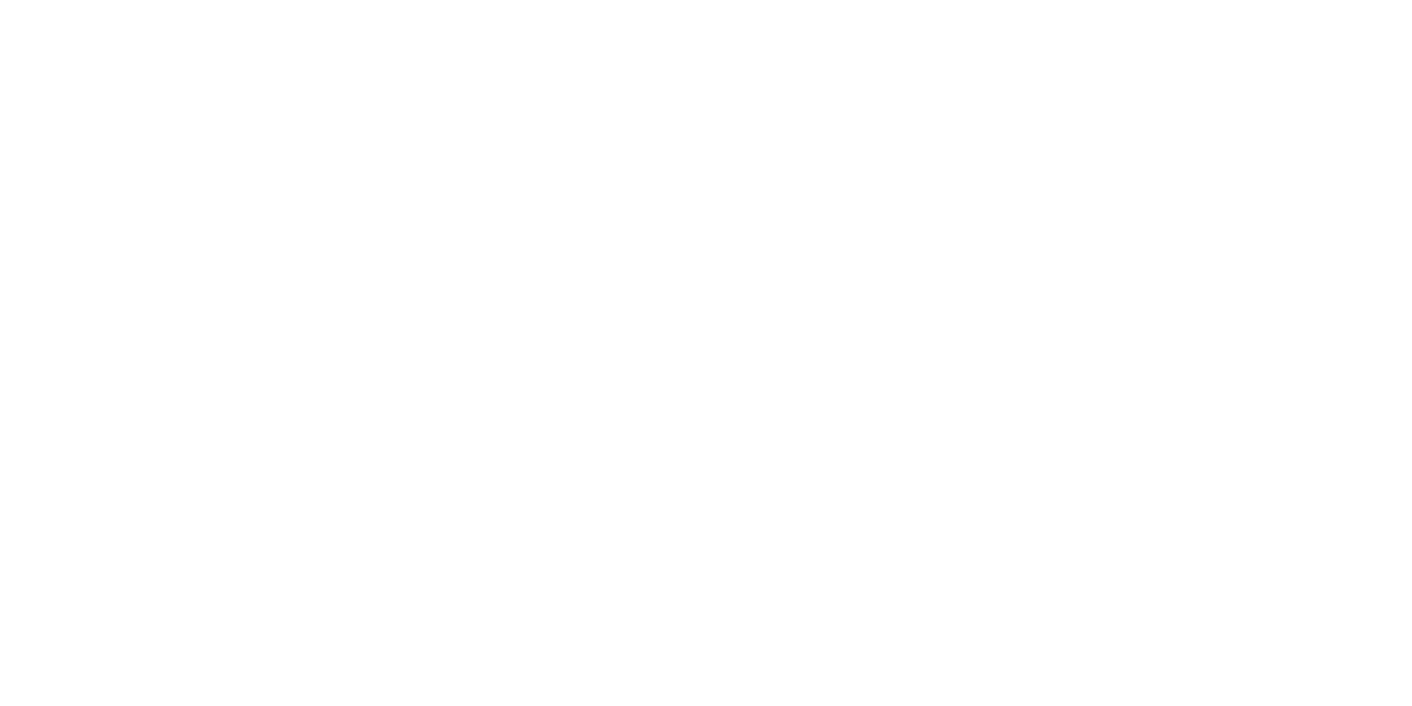Logo DIAMIR Erlebnisreisen
